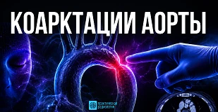Статья 1