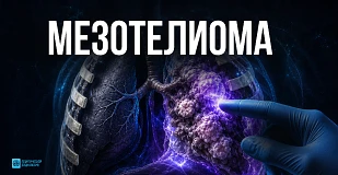 Статья 1